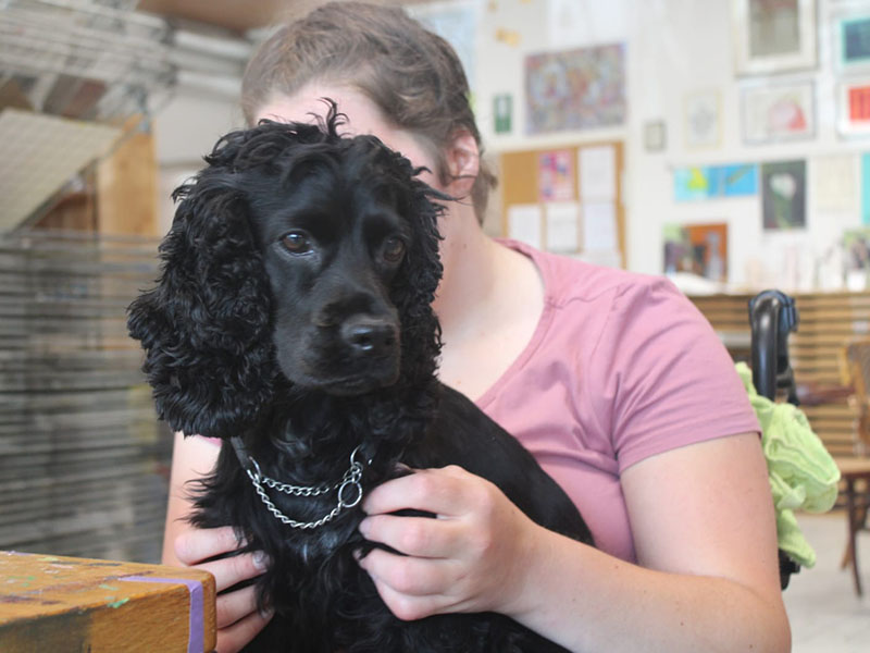 hundeschule-susanne-kohler-bühlerzell - ein hund sitzt neben einem schulranzen und trägt eine brille